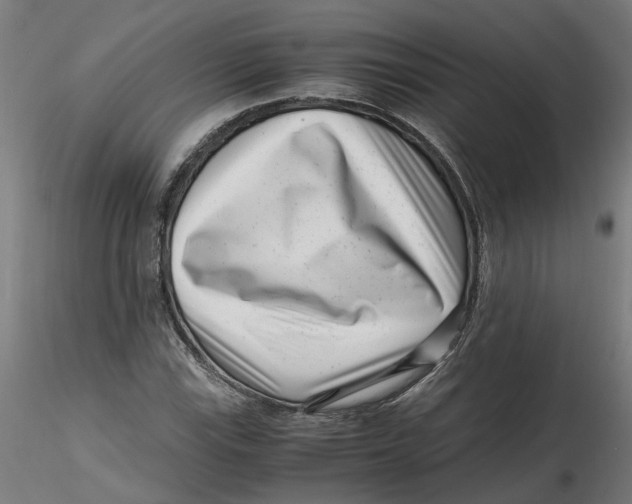 X0000116761115201001071149