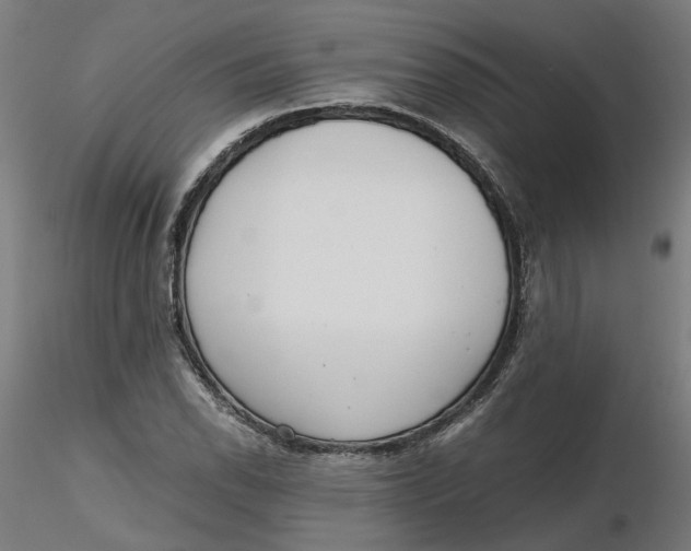 X0000116761118201001071149