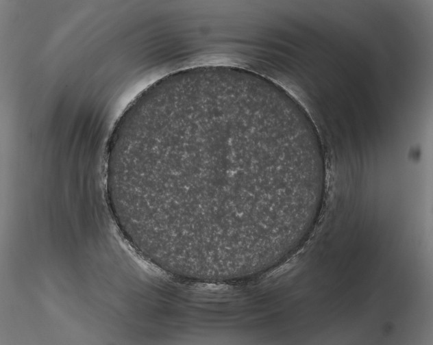 X0000116761119201001071149