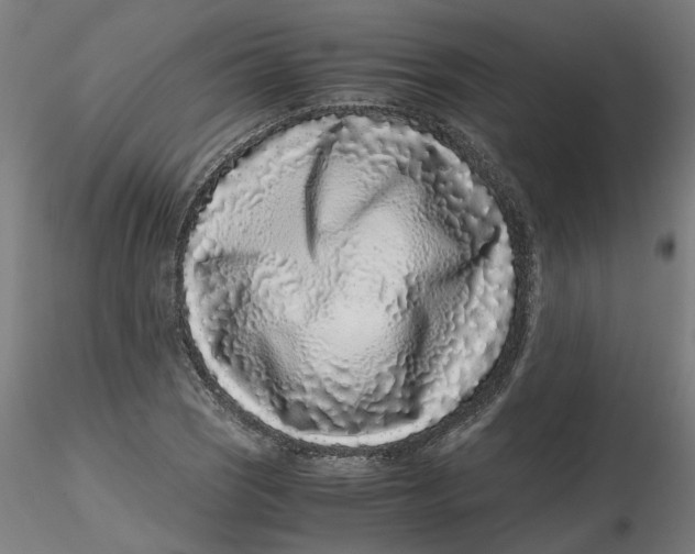 X0000116761121201001071149