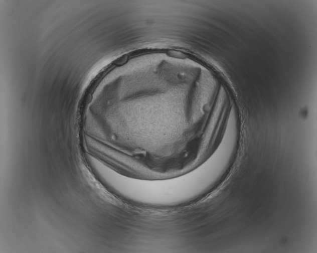 X0000116761122201001071149