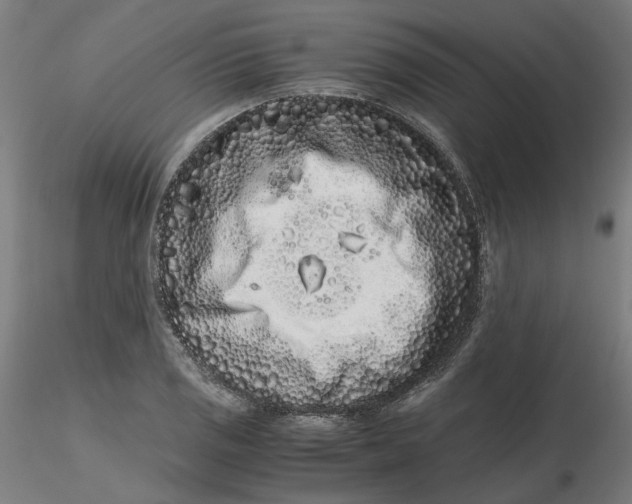 X0000116761125201001071149