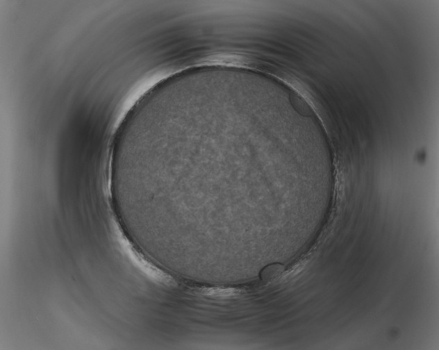 X0000116761131201001071150