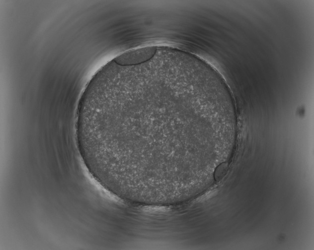 X0000116761135201001071150