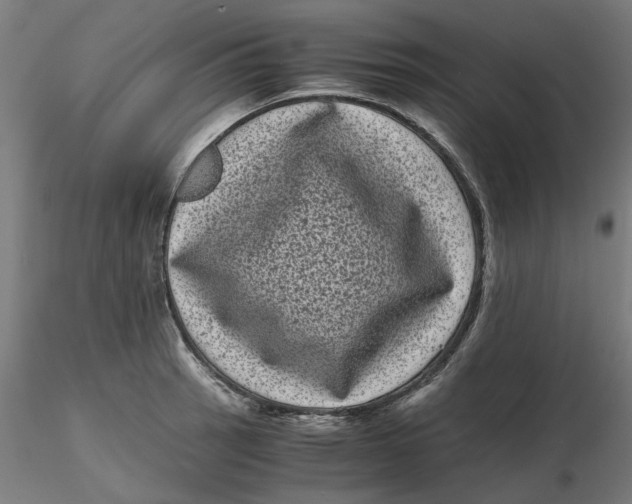 X0000116761137201001071150