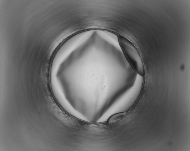 X0000116761138201001071150