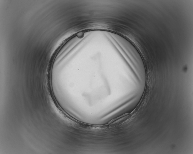 X0000116761139201001071150