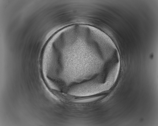 X0000116761141201001071150