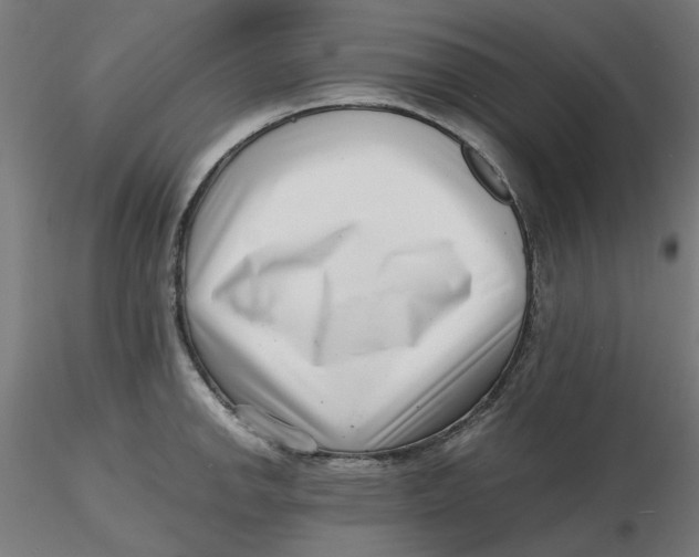 X0000116761142201001071150