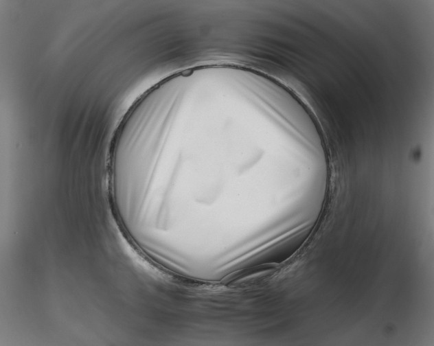 X0000116761143201001071150