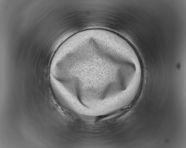 X0000116761145201001071150