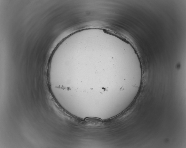 X0000116761146201001071150