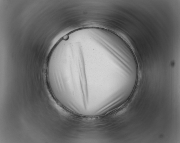 X0000116761149201001071150