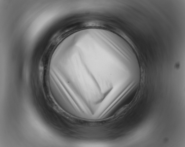 X0000116761151201001071150