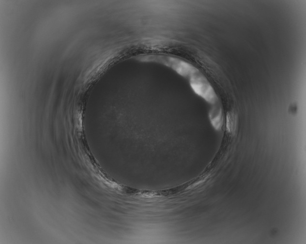 X0000116761155201001071149