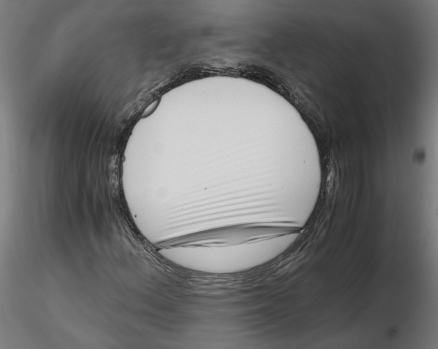 X0000116761156201001071149