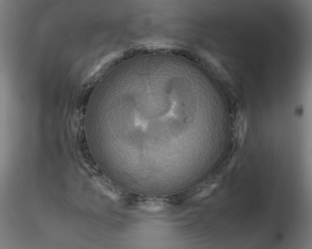 X0000116761157201001071149