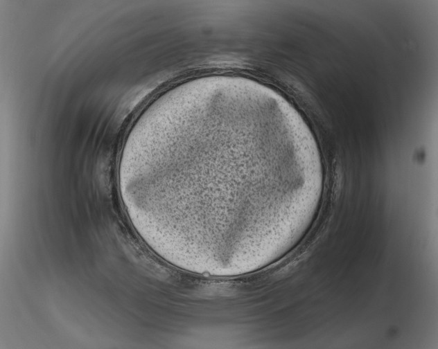 X0000116761162201001071149