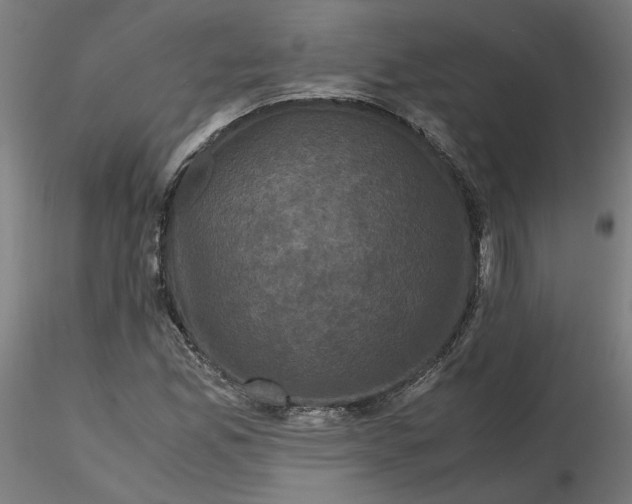 X0000116761165201001071149