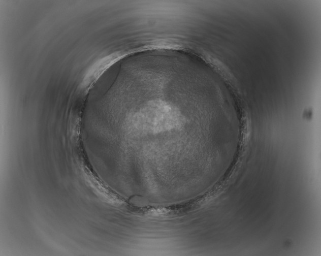 X0000116761169201001071149