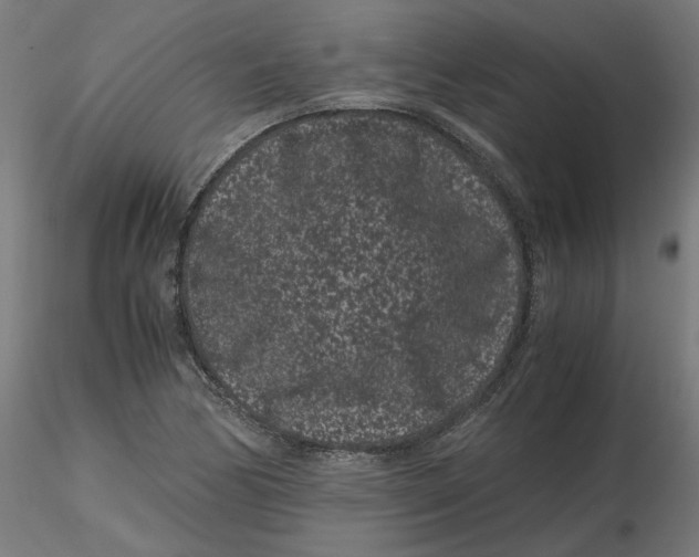 X0000116761170201001071149