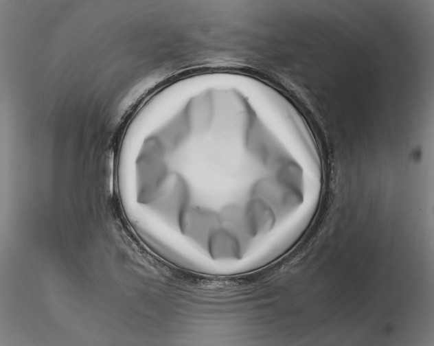 X0000116761171201001071149