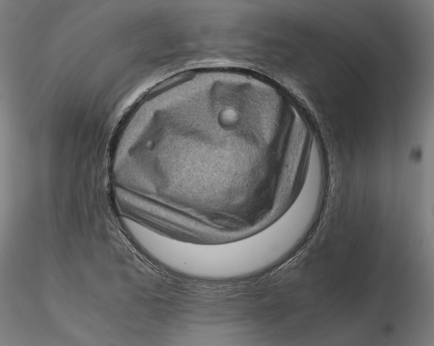 X0000116761173201001071149