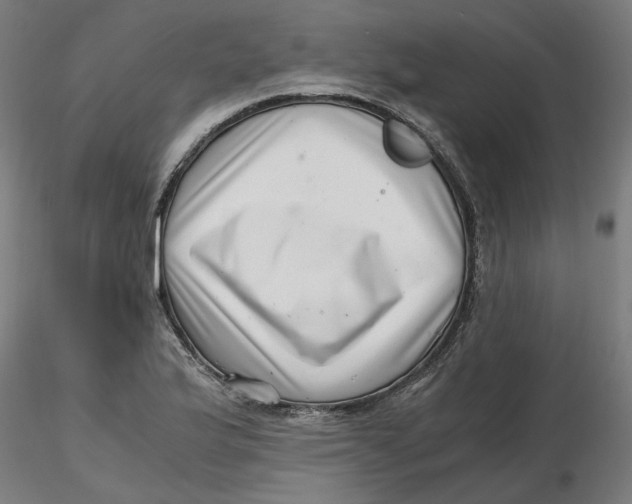 X0000116761175201001071149