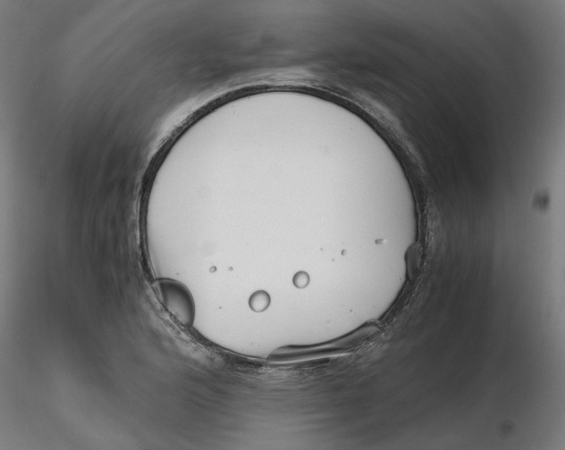 X0000116761176201001071149