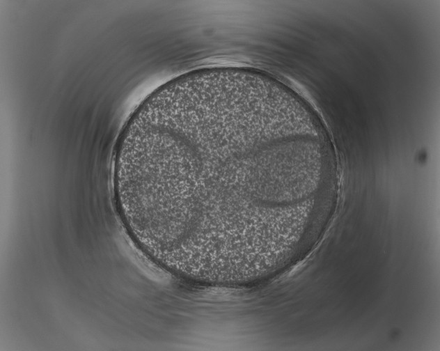 X0000116761179201001071149