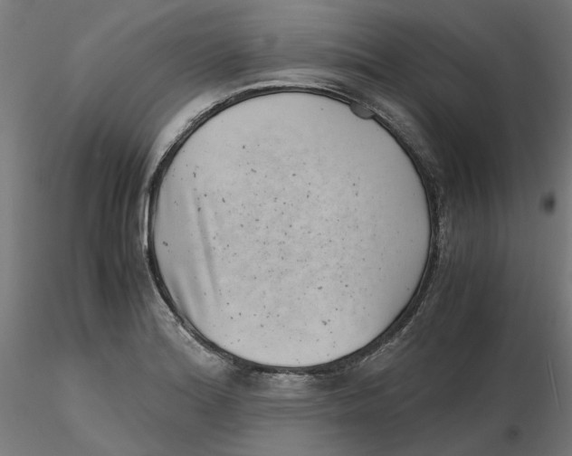 X0000116761180201001071149