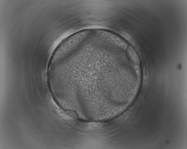 X0000116761181201001071149