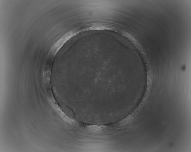 X0000116761185201001071149