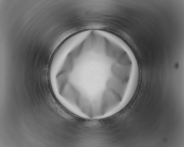 X0000116761186201001071149