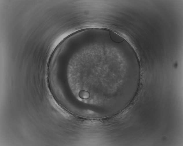 X0000116761187201001071149