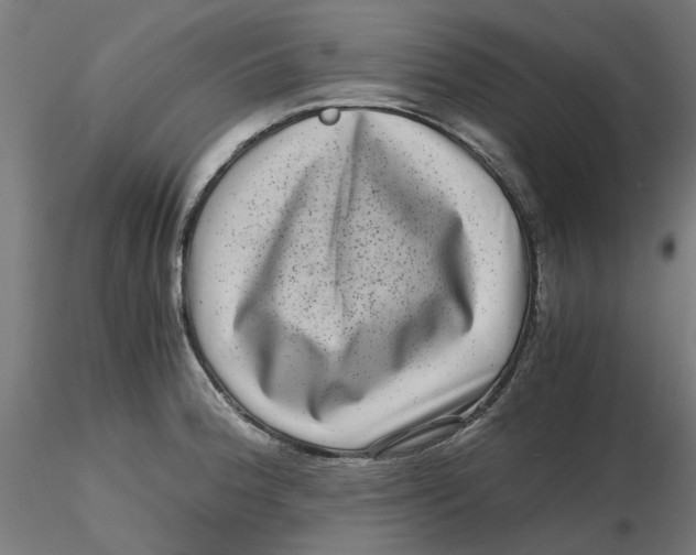 X0000116761188201001071149