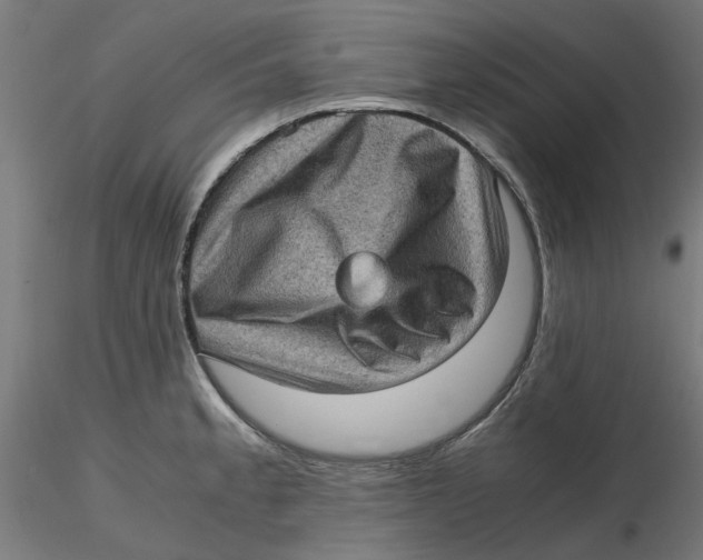 X0000116761189201001071149