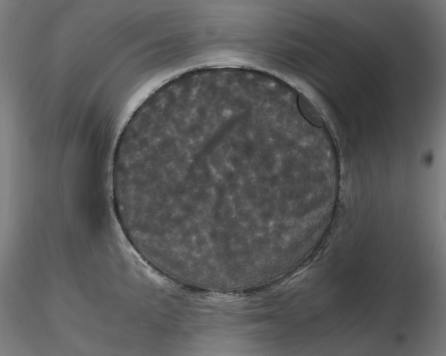 X0000116761191201001071149