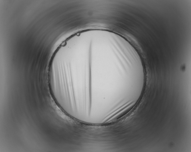 X0000116761192201001071149