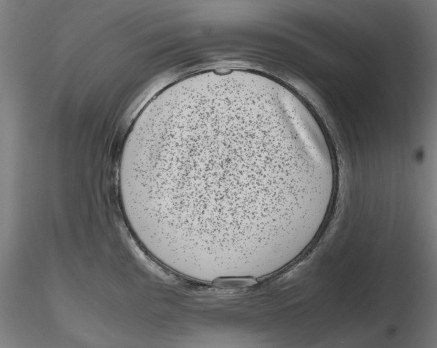 X0000116761193201001071149