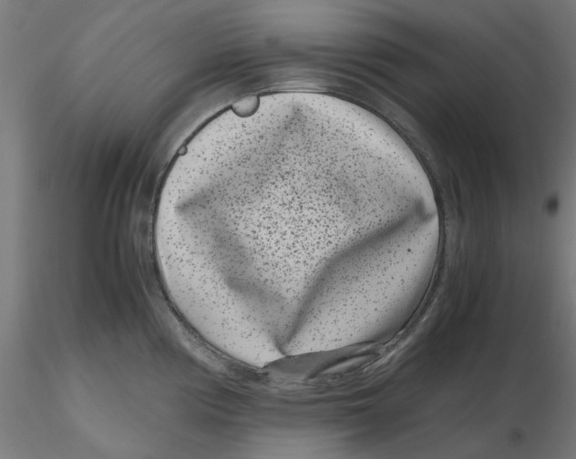 X0000116761194201001071149