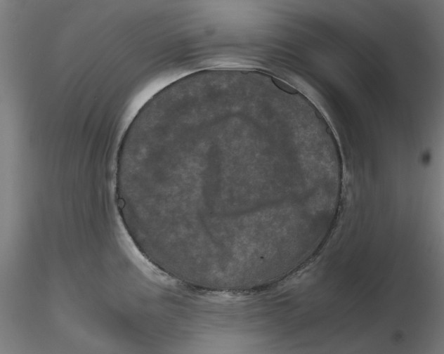 X0000116761195201001071149