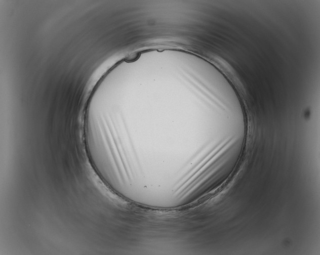 X0000116761196201001071149