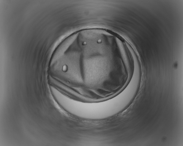 X0000116761197201001071149