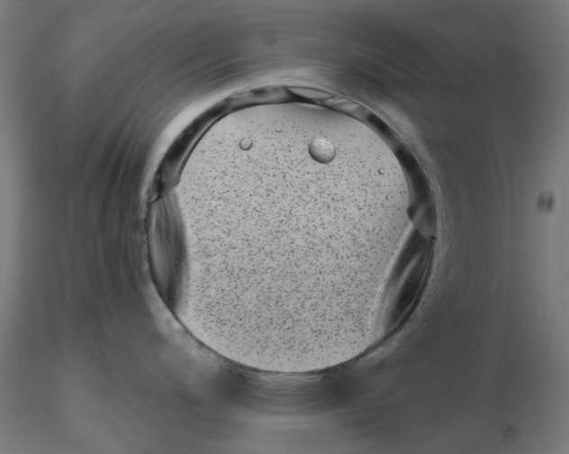 X0000116761200201001071149