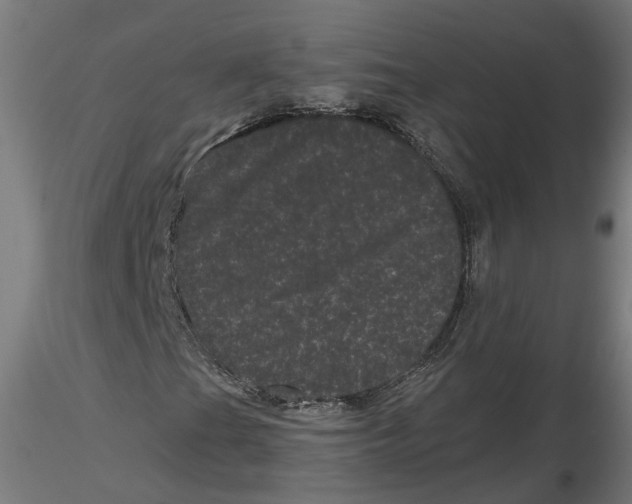 X0000116761201201001071148