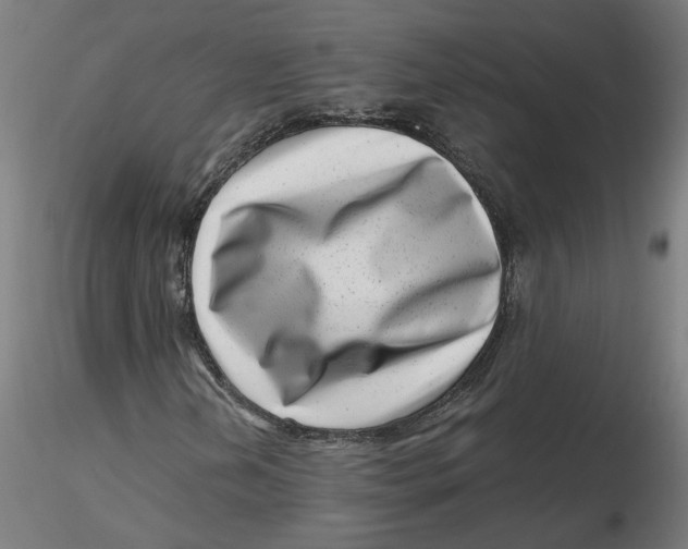 X0000116761202201001071148