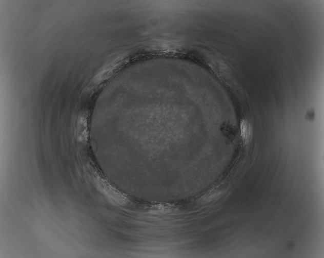 X0000116761203201001071148