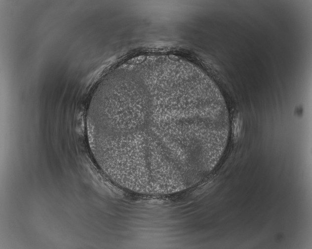 X0000116761204201001071148