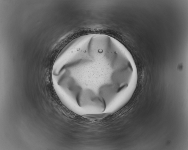 X0000116761205201001071148